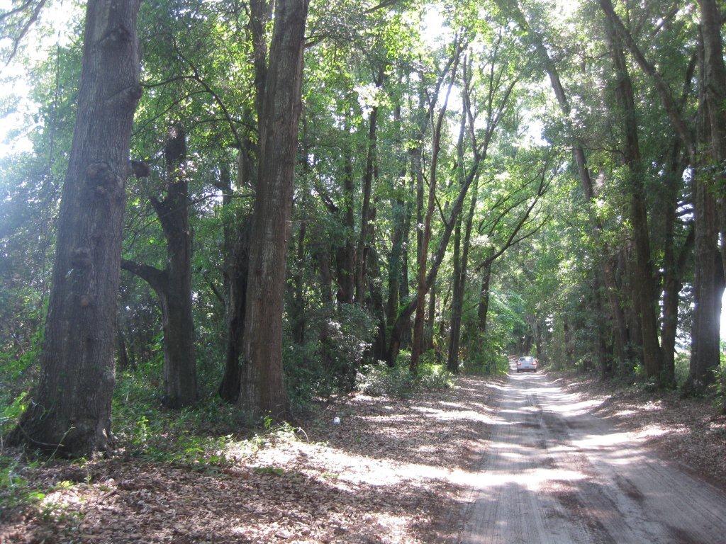 1 Acre Wildwood, Florida Save 25 OFF «