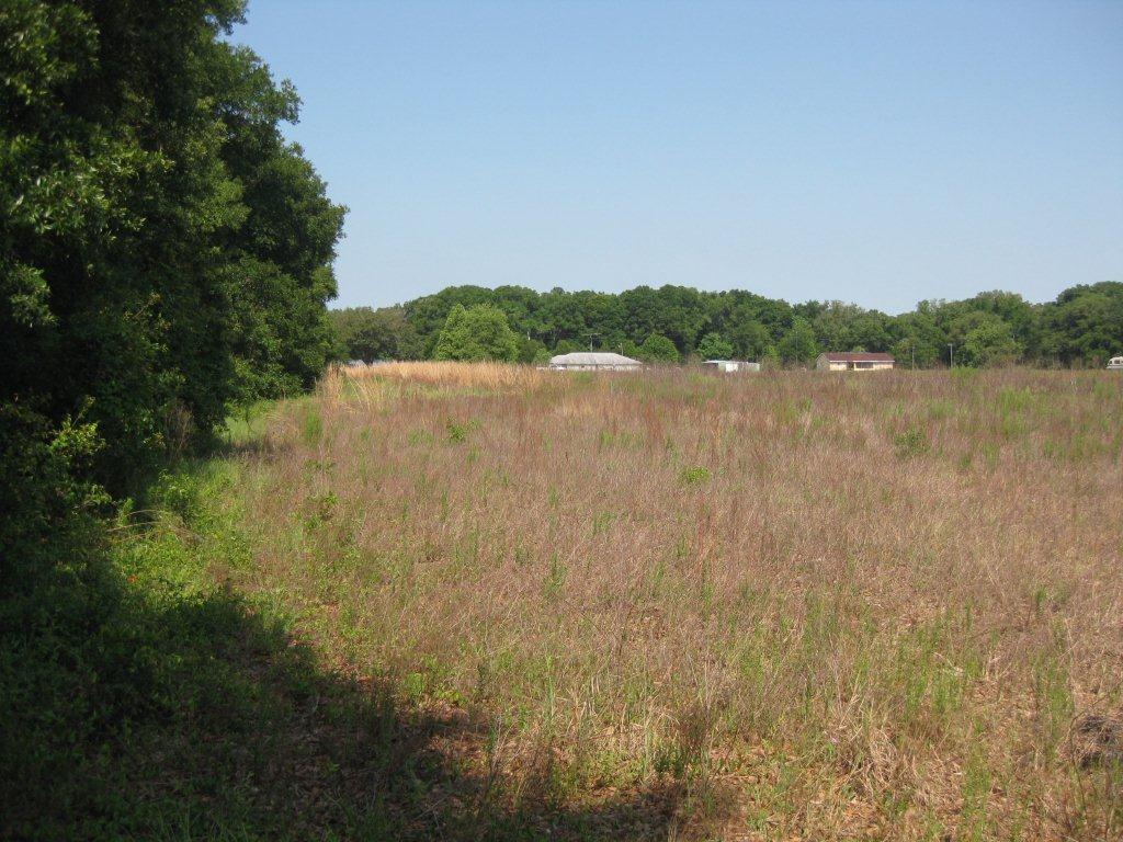 1 Acre Wildwood, Florida Save 25 OFF «