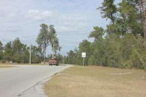 Ocala Marion County Land Walgreens 2 300x200 Ocala Marion County Land Right Side of Land