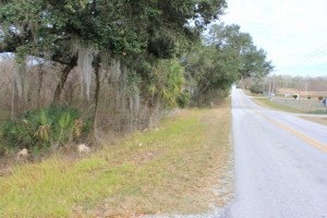 Ocala Marion County Land 089 300x200 Ocala Marion County Land  Street View