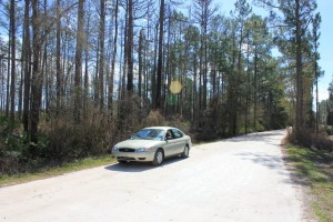 Ocala Marion County Land Citra Fl Land 300x200 Ocala Marion County Land Citra, Fl Land