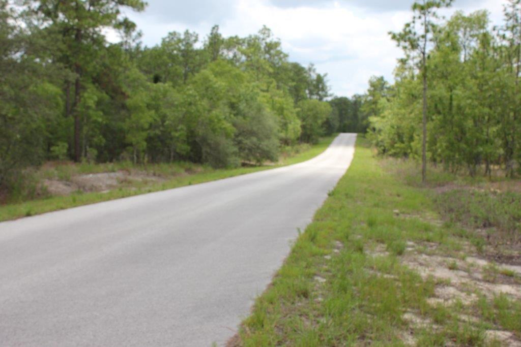 .51 LOT For Sale in Rainbow Lake Estates in Dunnellon, Florida CHEAP