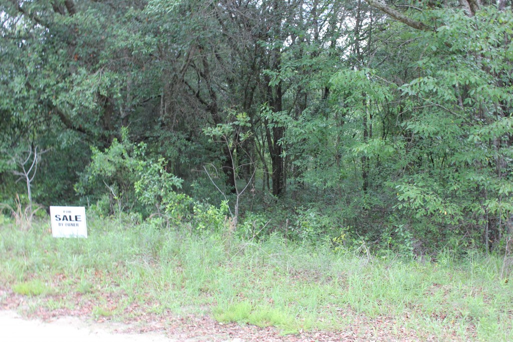 Dunnellon Lake Tropicana Land For Sale