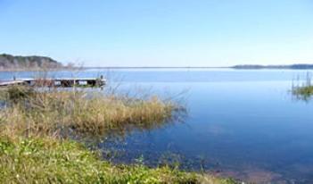 kerr lake reduced acres ocala forest national mylandbaron only price financing month
