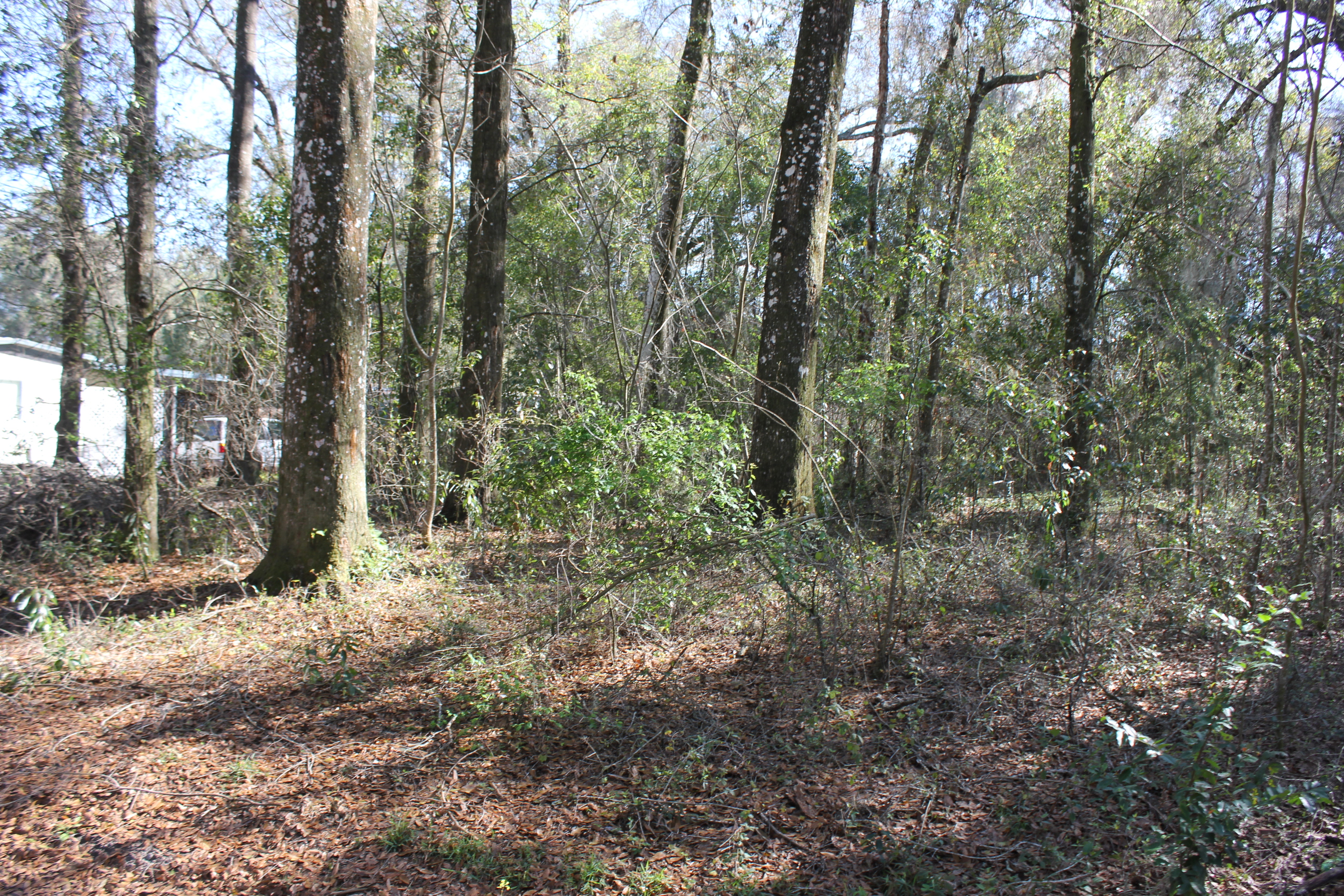 Ocala Marion County Land For Sale 126