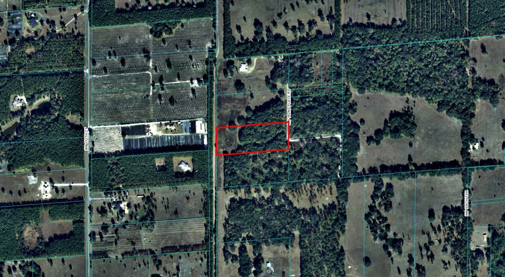 5.84 Acres Reddick, Florida