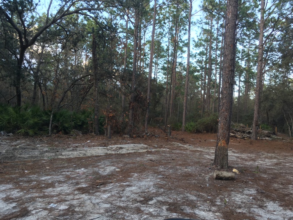 2.5 acres in Florida Highlands