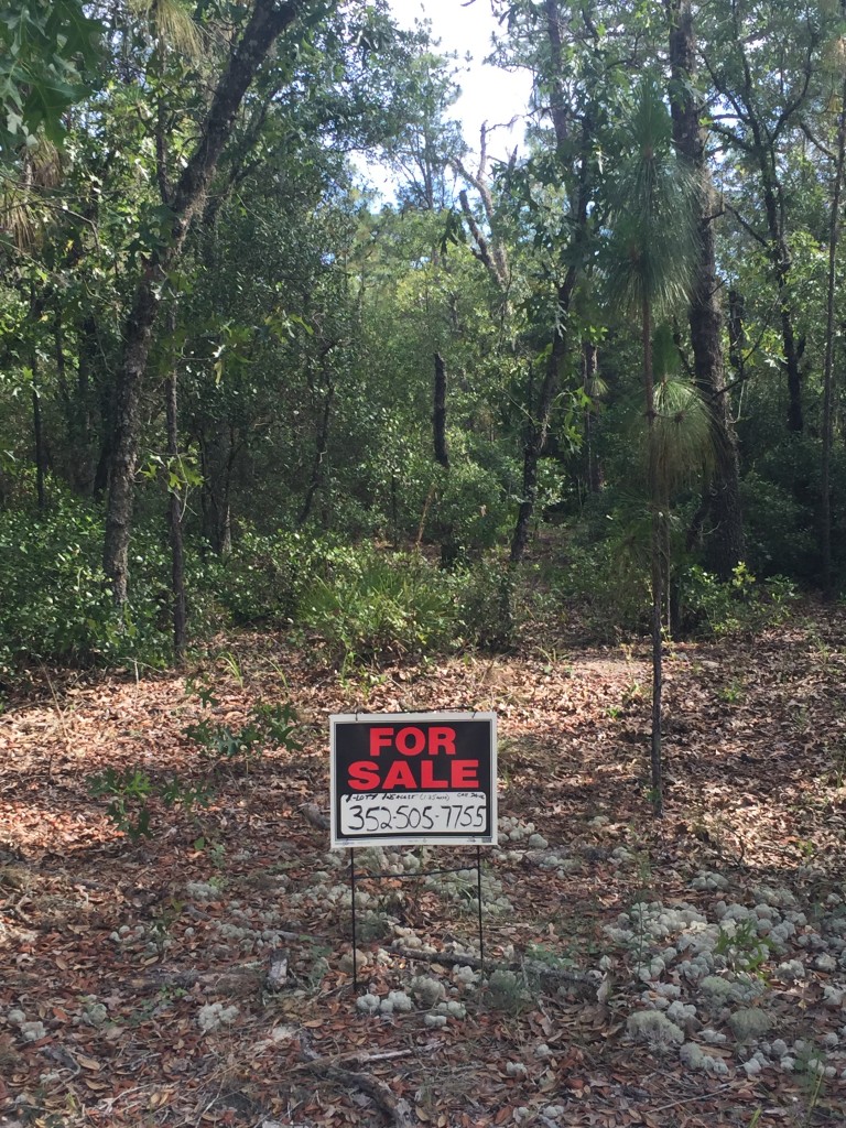 1.25 Acres in Florida Highlands Dunnellon, Fl