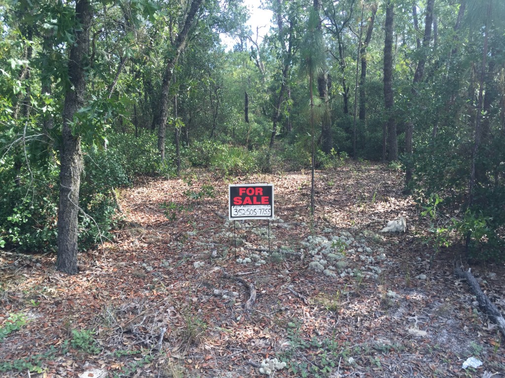 1.25 Acres in Florida Highlands