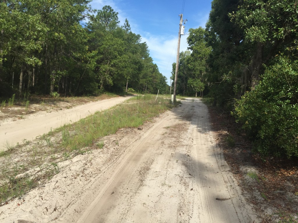 1.25 Acres in Florida Highlands 157th Road