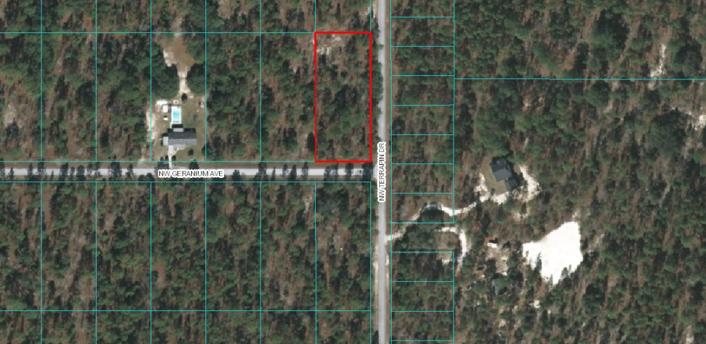 Aerial Lot Lines. Rainbow Lakes Estates