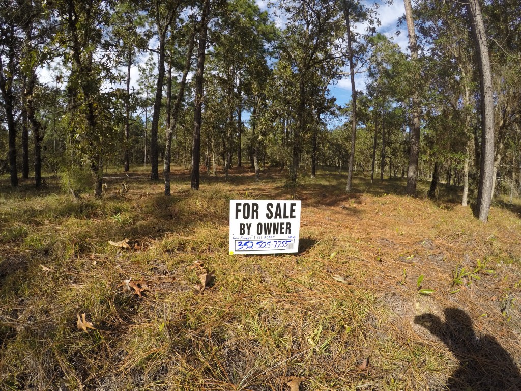 1.01 Acres Rainbow Lakes Estates