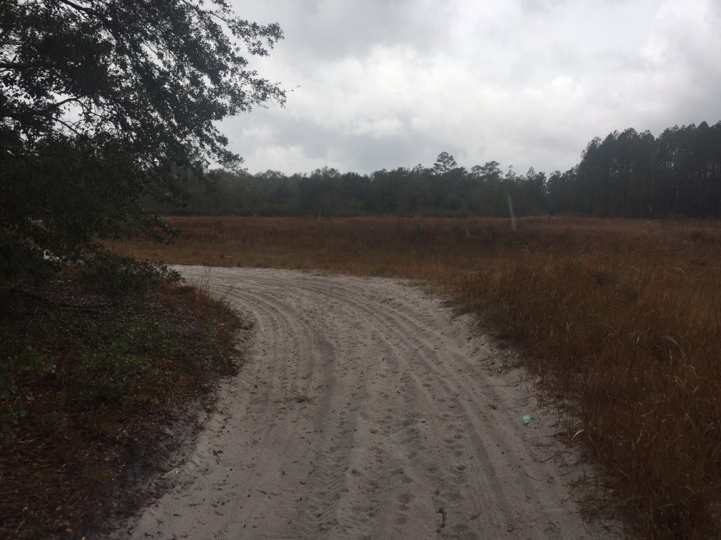 1-25-acres-florida-highlands-field