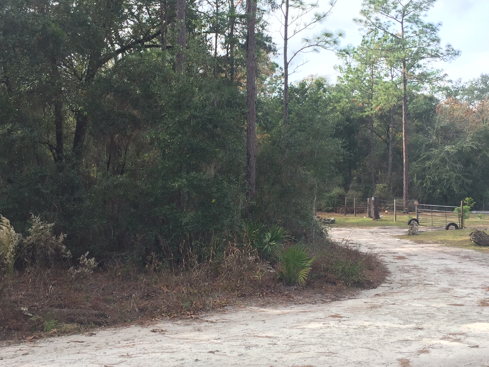 2.5 Acres on SW 90th Avenue in Florida Highlands