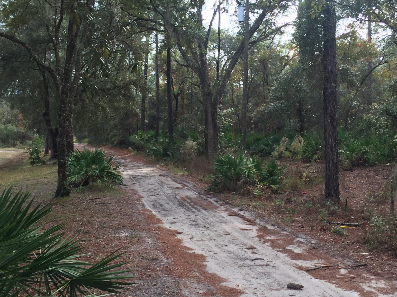 2.5 Acres on SW 90th Avenue in Florida Highlands