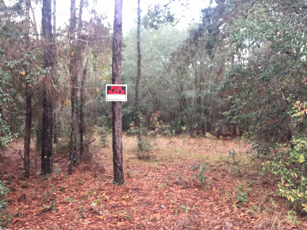 2-5-acres-in-lake-tropicana3