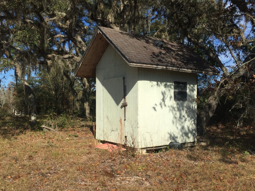 1 of 2 Sheds