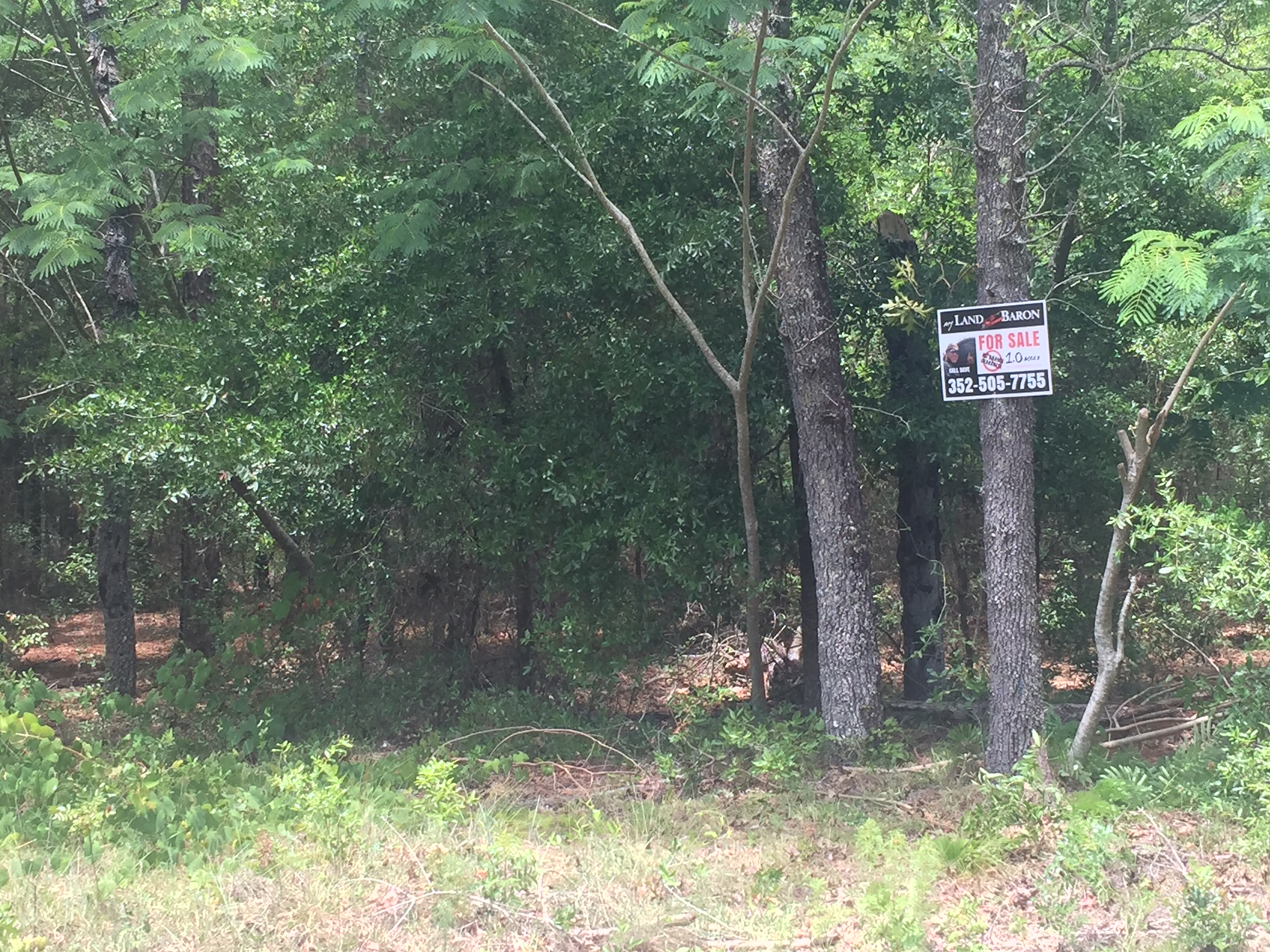 1.00 Acres in Fellowship Acres in Ocala, Florida Land