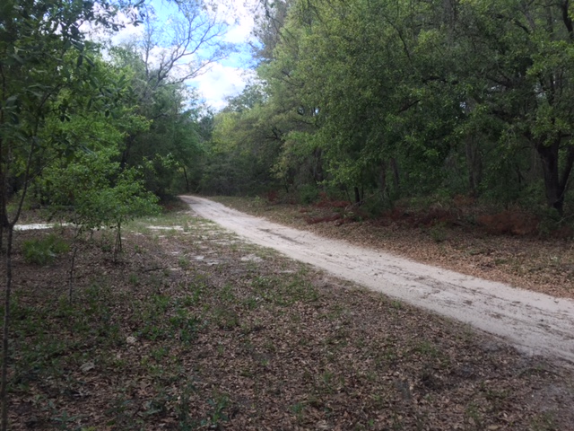 1.25 Acres SW 158th LN