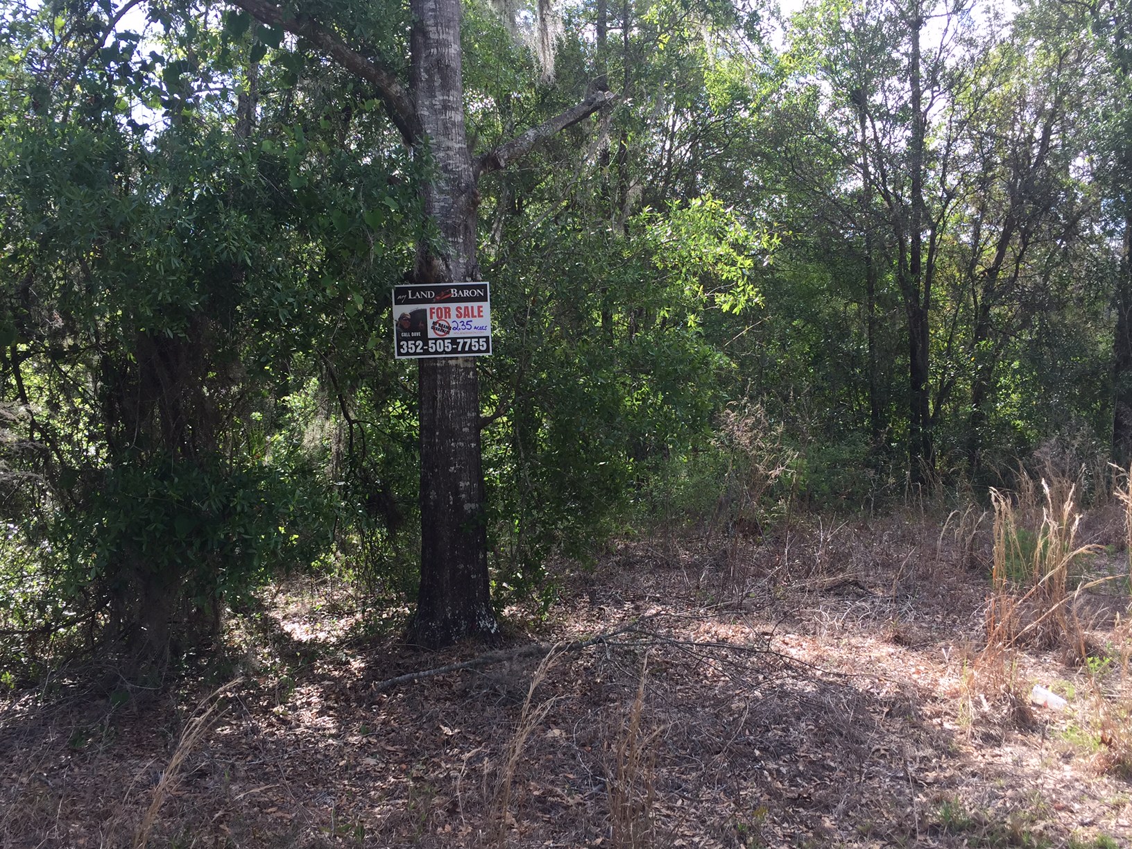 2.35 Acres in Lake Tropicana Dunnellon, FL