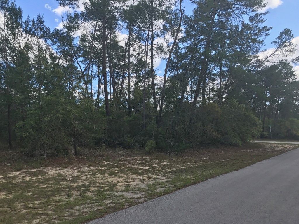 Marion Oaks .29 Lot frontage