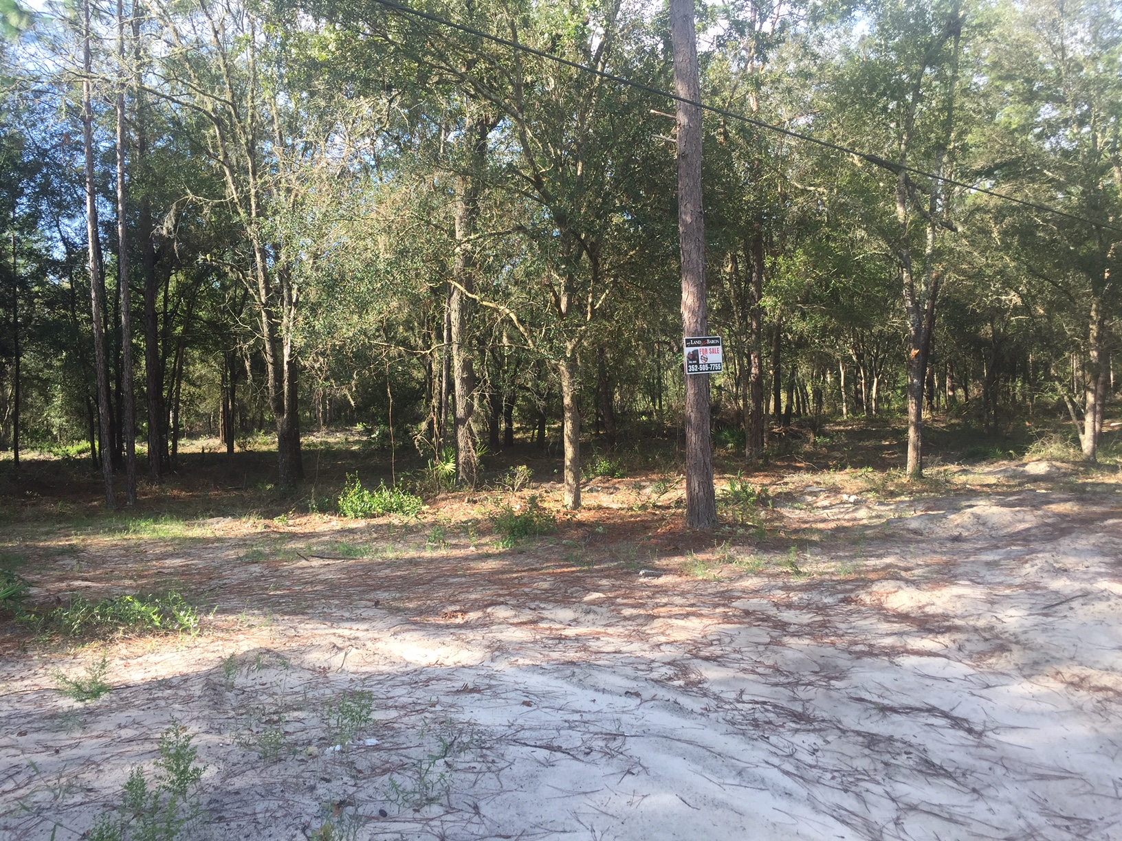 2.5 Acres in Florida Highlands Dunnellon, Fl Just Listed!