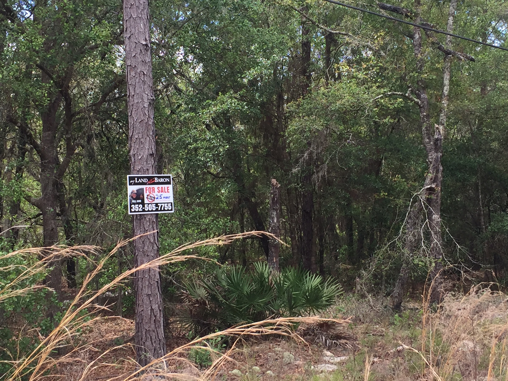 2.5 Acres in Florida Highlands Dunnellon, Fl Just Listed!