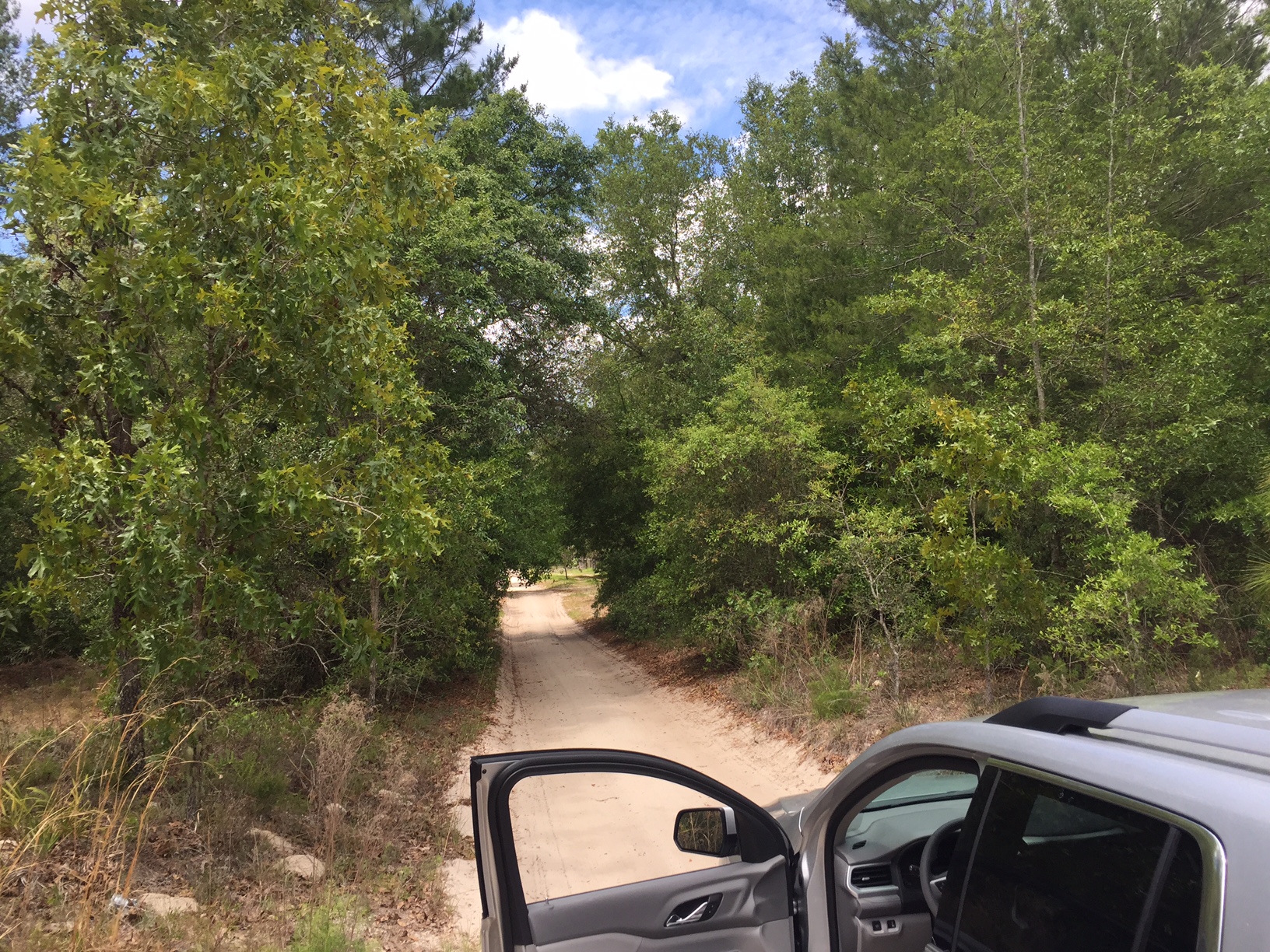 2.5 Acres in Florida Highlands Dunnellon, Fl Just Listed!