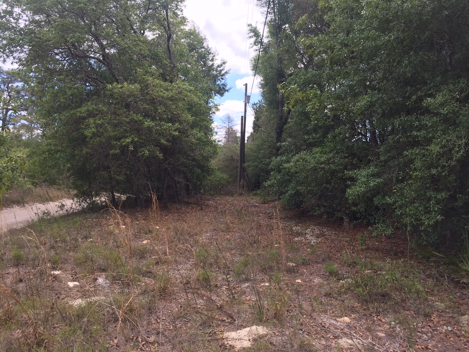 2.5 Acres in Florida Highlands Dunnellon, Fl Just Listed!