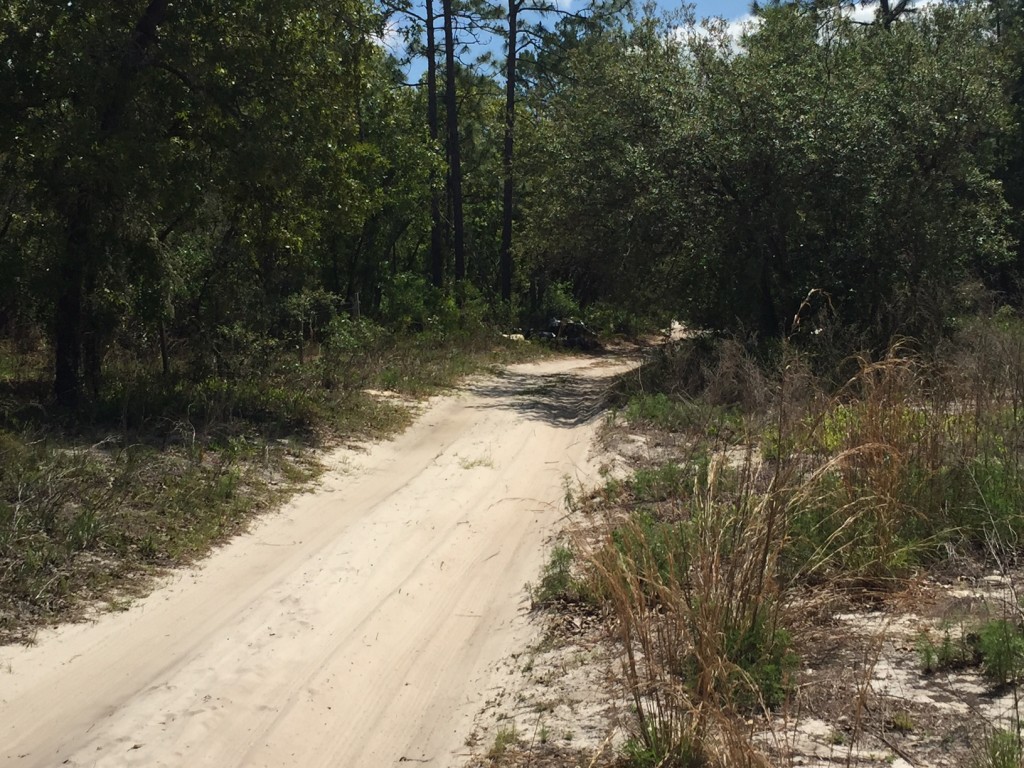 3.75 acres in Florida Highlands