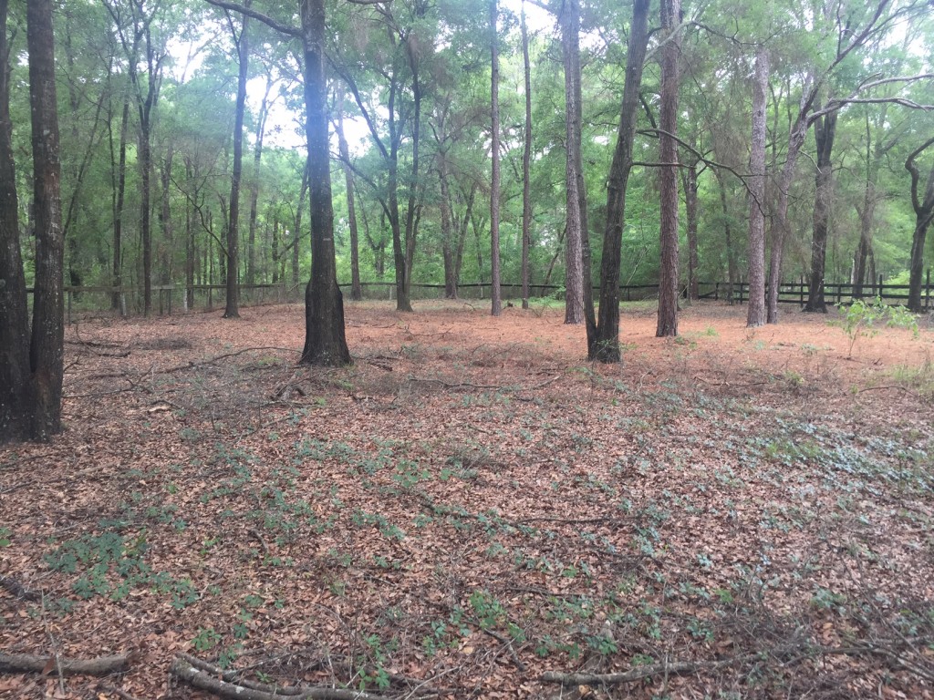 Ocala Farm Behind Barn