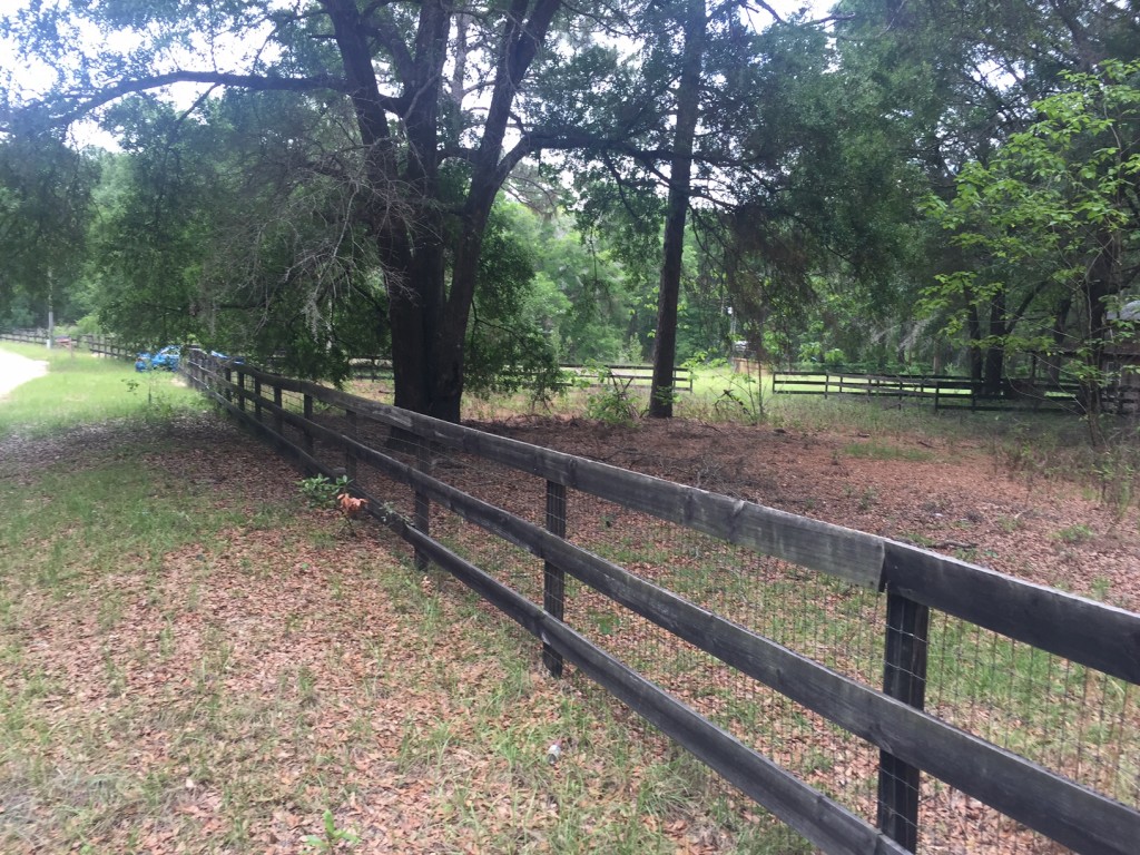 Ocala Farm Fence