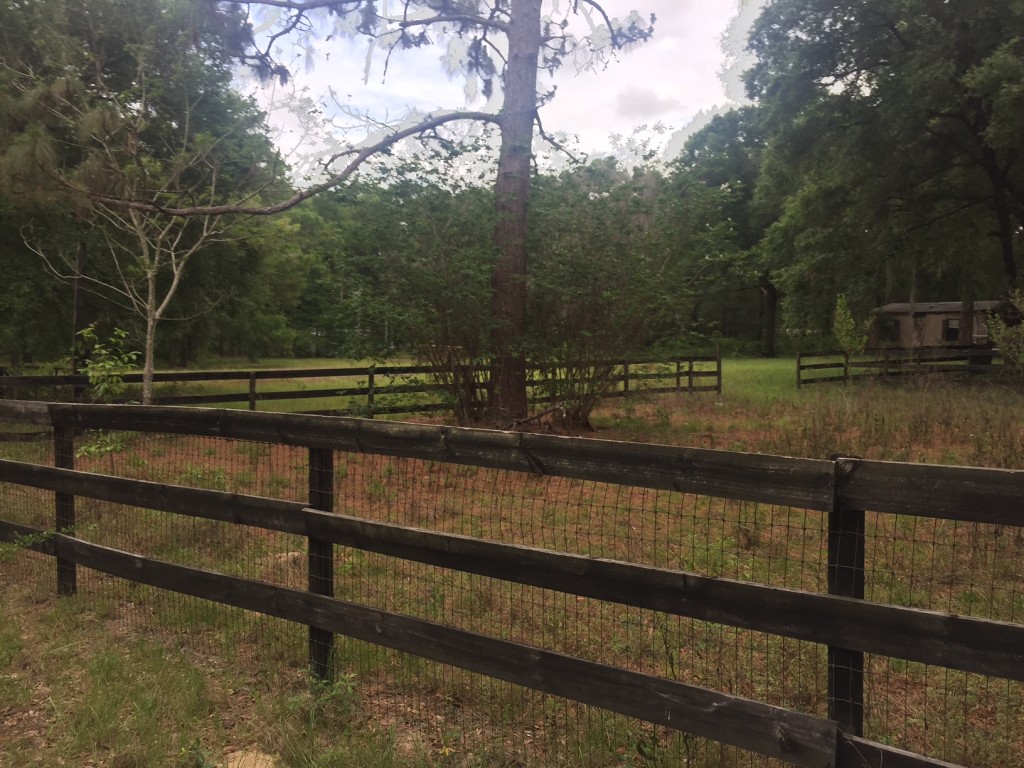 Ocala Farm Fence Paddock