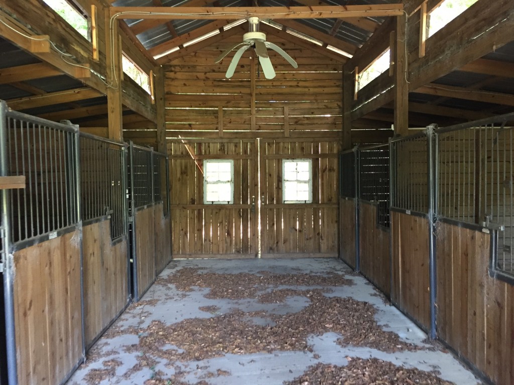 Ocala Farm Inside Barn