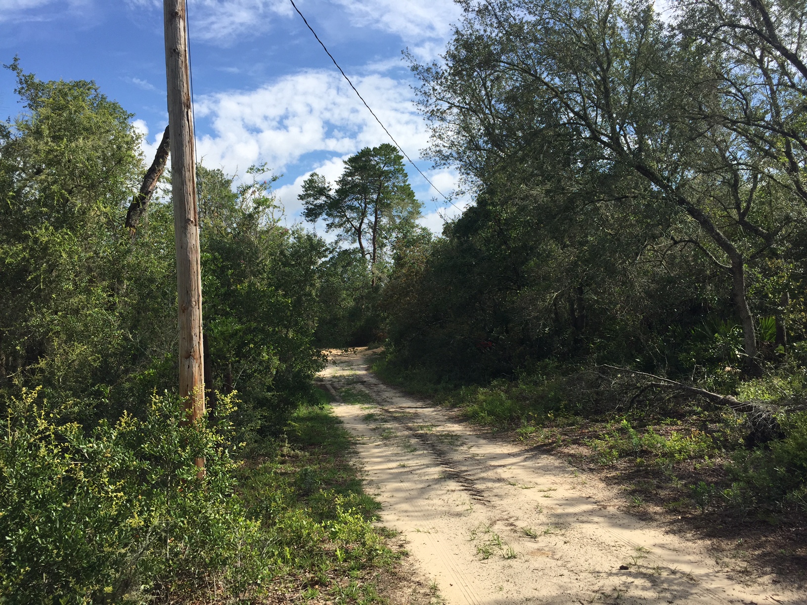 HOG VALLEY 0.77 Acres Land For Sale 4 Lots