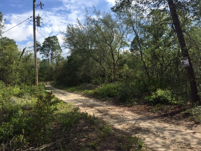 HOG VALLEY 0.77 Acres Land For Sale 4 Lots