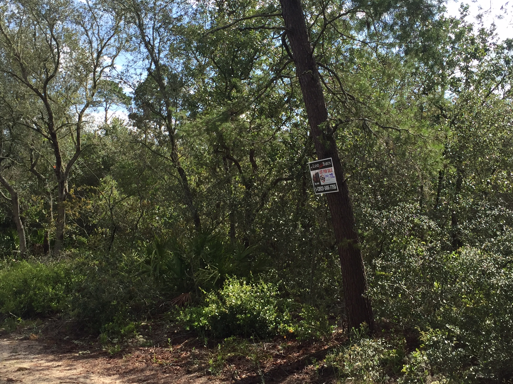 HOG VALLEY 0.77 Acres Land For Sale 4 Lots