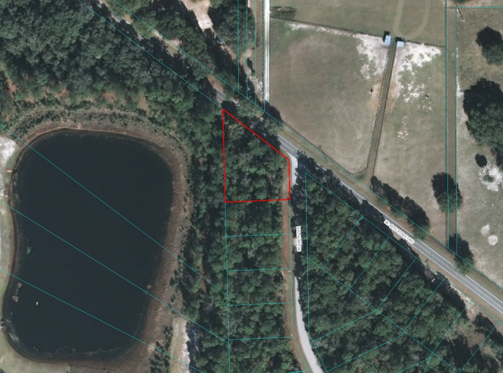 Ocklawaha Lake Property