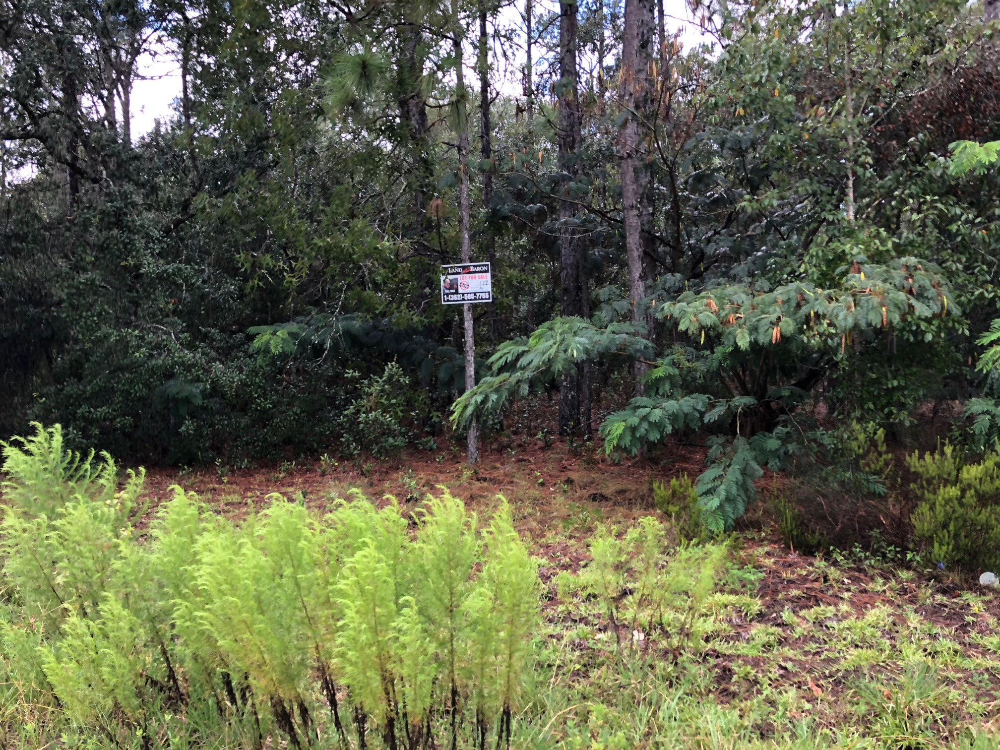 2.42 acres in Lake Tropicana Dunnellon, Florida