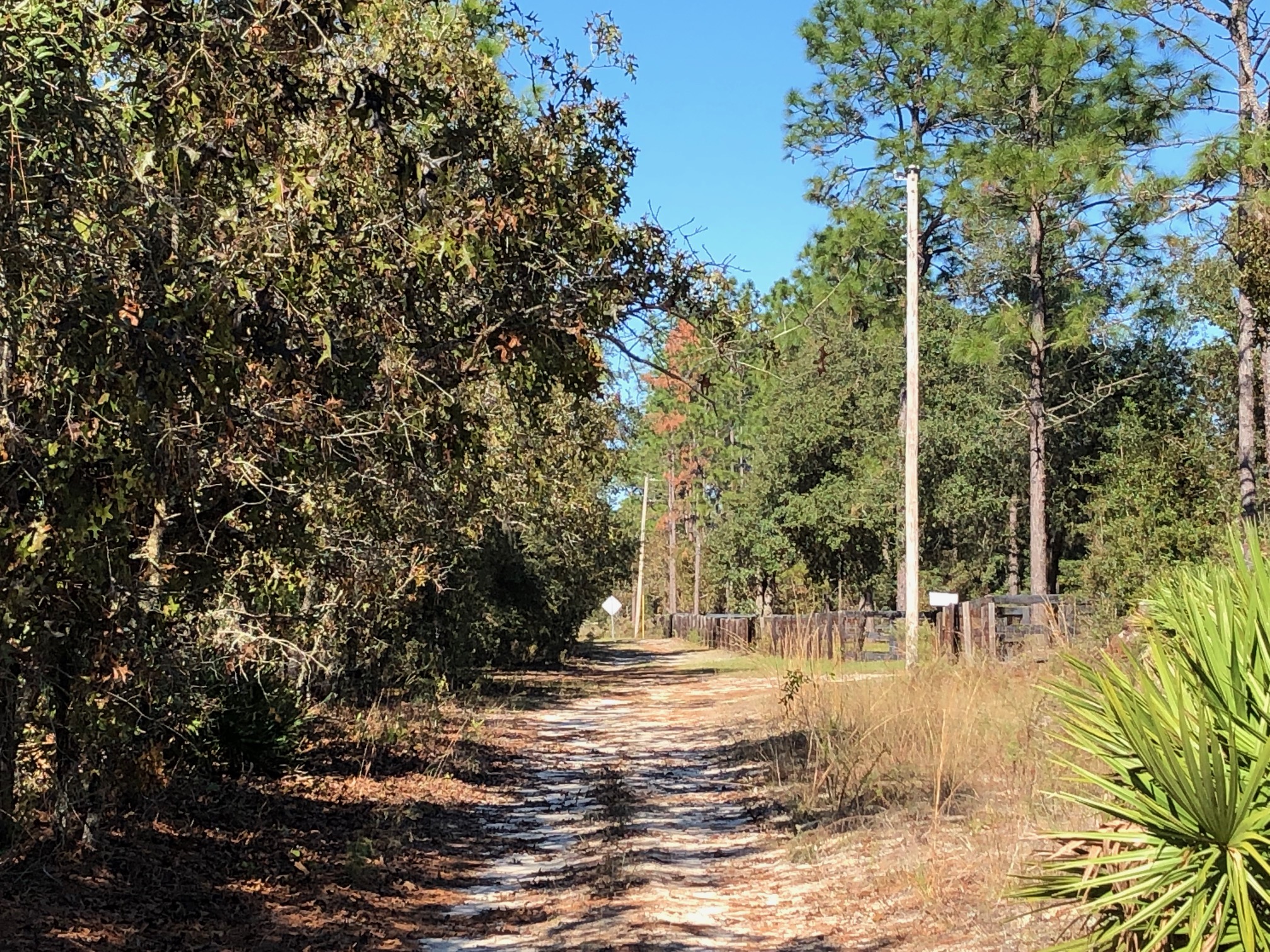 5.0 Acres in Dunnellon, Florida