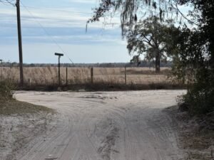 1.25 Acres in Florida Highlands Corner LOT